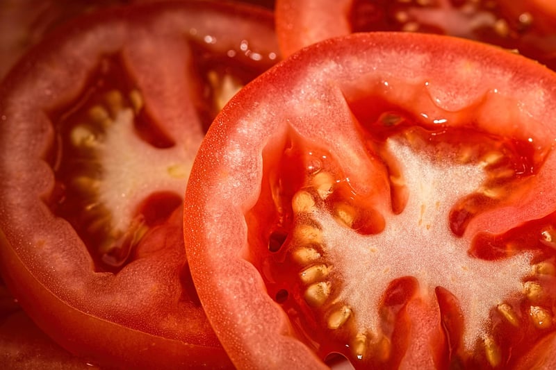 Tomato plants
